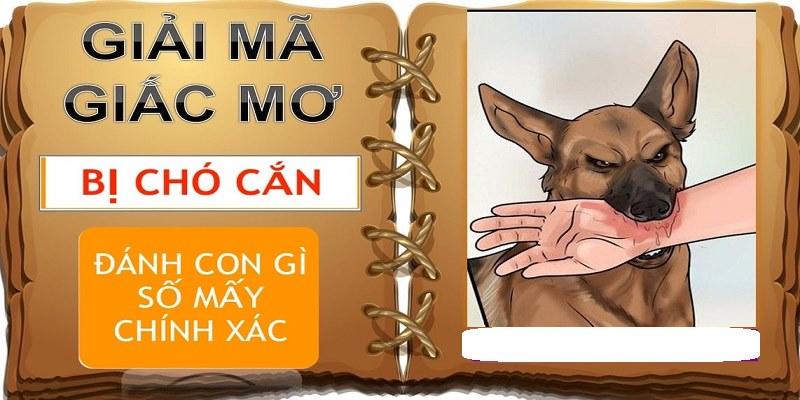 Giải mã giấc mơ